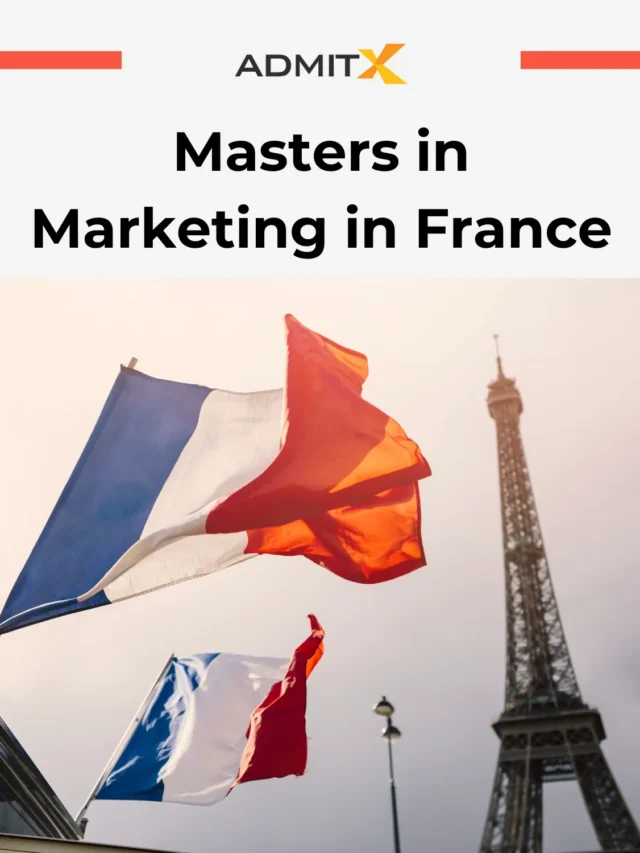 Master in Marketing
