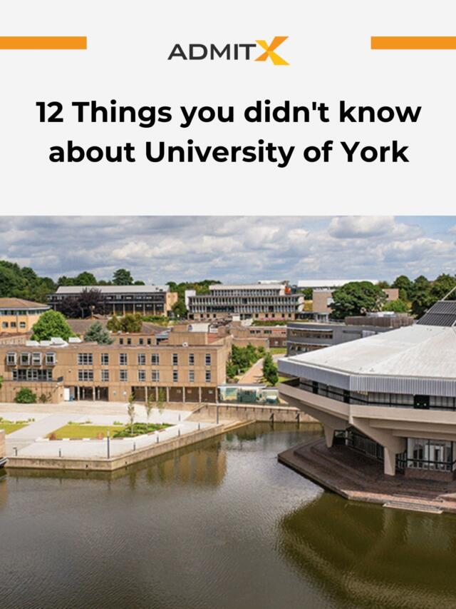 York University