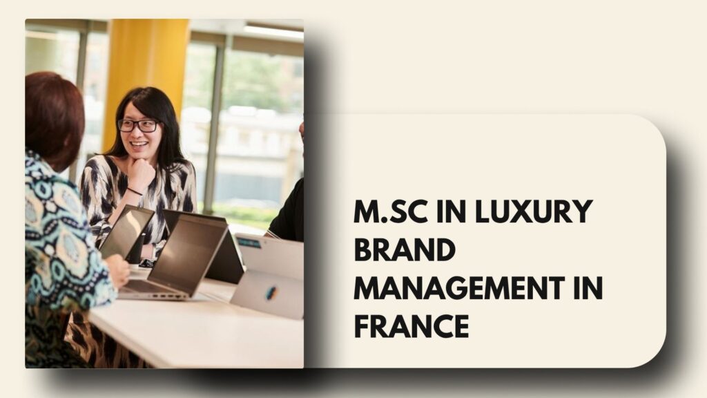 luxury brand management