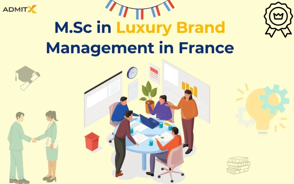 luxury brand management in France