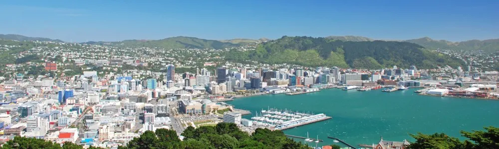 Wellington City