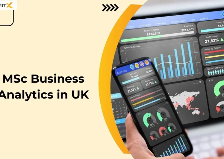 MSc Business Analytics in UK