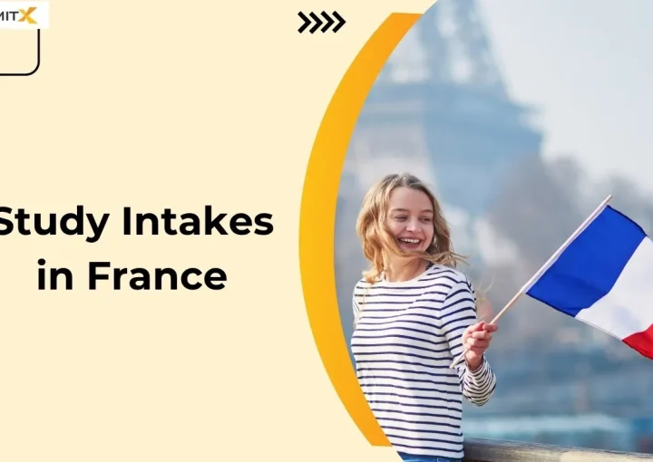 Study Intakes in France