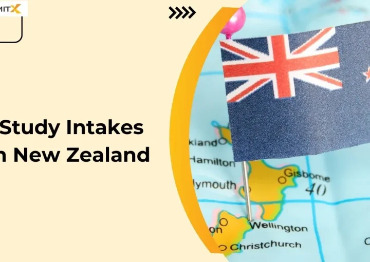 Study Intakes in New Zealand