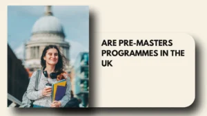 pre-masters programmes