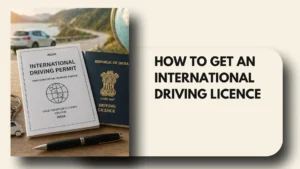 international driving licence